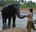 Chandani und ihr Elefant